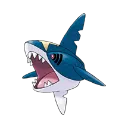Sharpedo