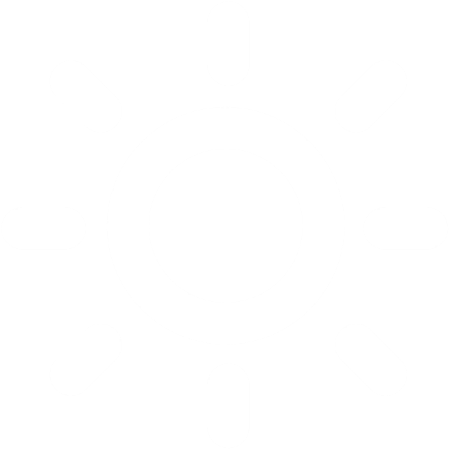 Sunny