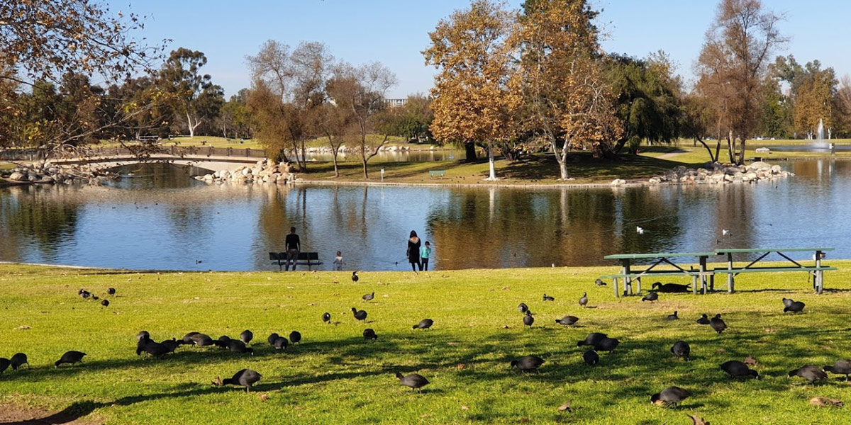 William R. Mason Regional Park photo 8